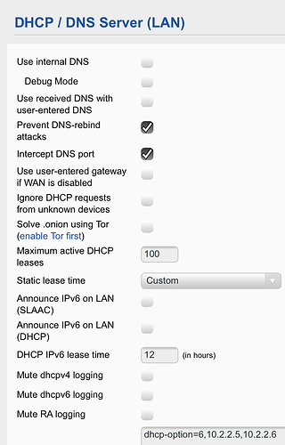 RK Advanced DHCP  DNS