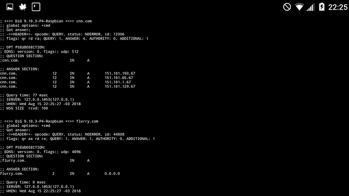 Hosts not being resolved properly - Help - Pi-hole Userspace