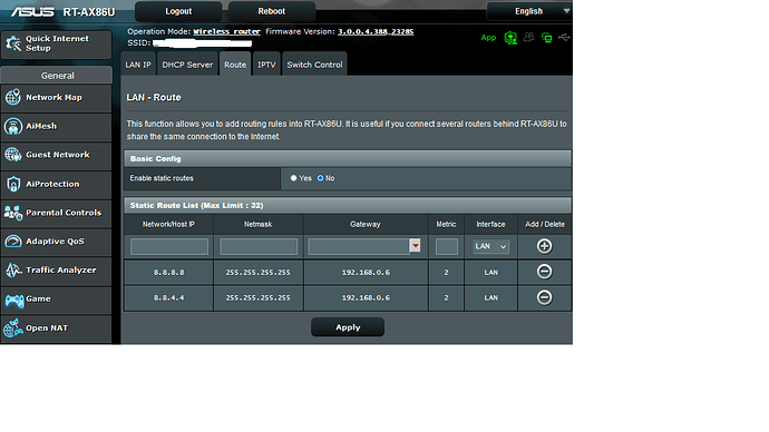 Asus-AX86U-LAN-Route-googleDNS