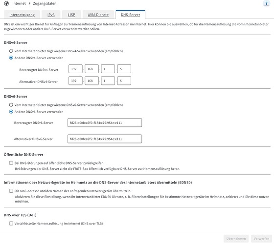 2025.03.08 Zwei Einträge in der "Pi-hole diagnosis" 3