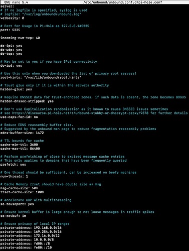 2025.03.13 Zwei Einträge in der "Pi-hole diagnosis" 6