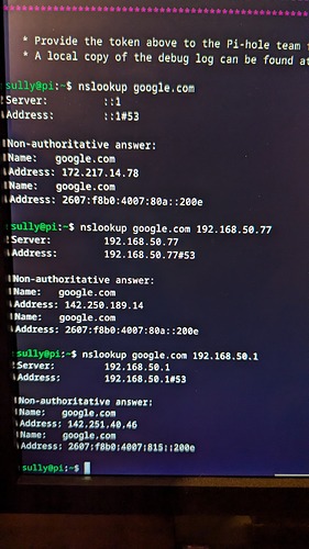 pihole nslookup