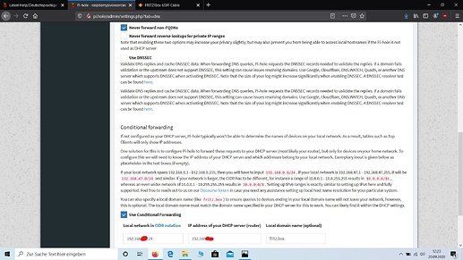 19.Pi-hole - System - DNS - Advanced DNS settings, Conditional forwarding