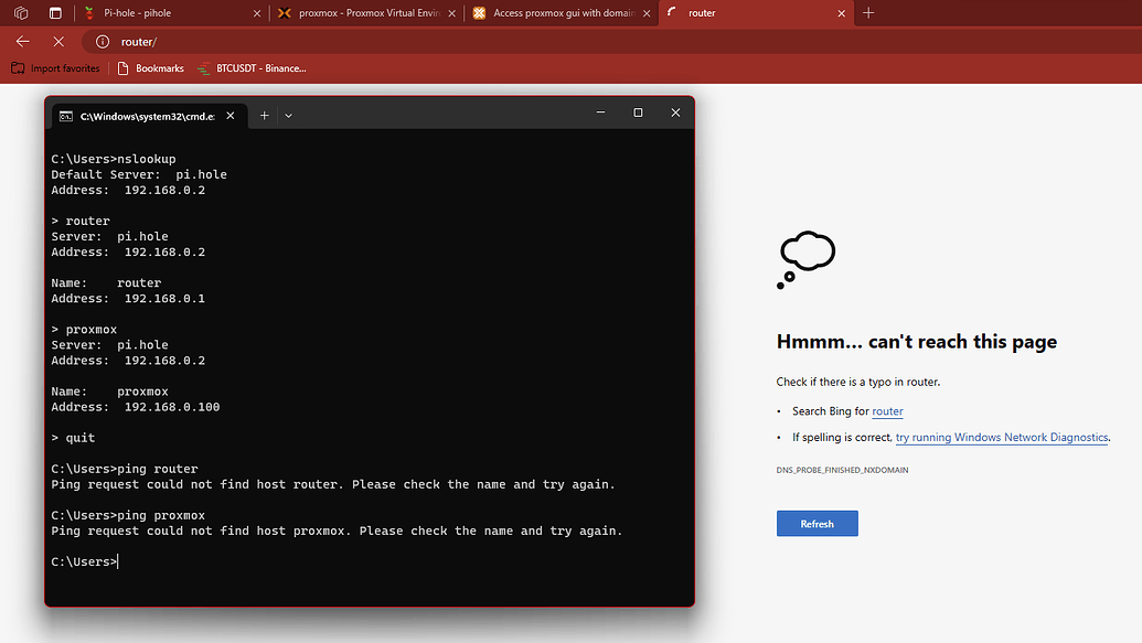 Windows 11 & Pi Hole local dns problems - cannot resolve by hostname ...