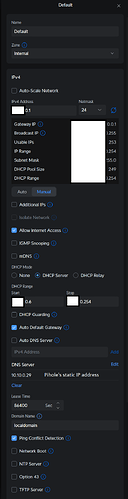 unifi DNS setting