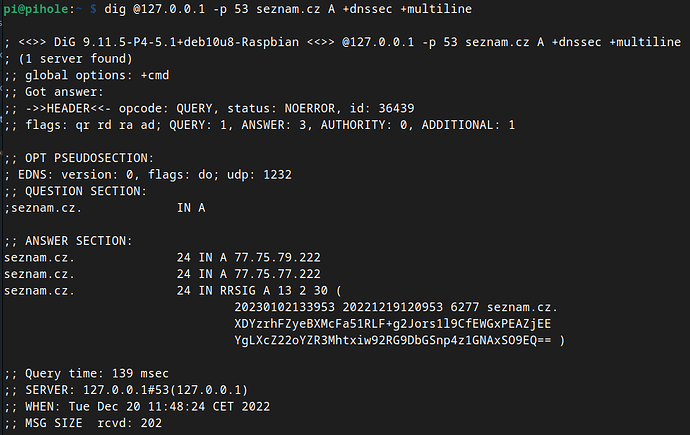 Dig on Pi-hole (port 53)