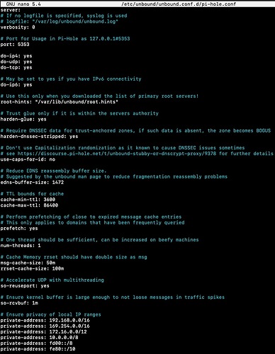 2025.03.08 Zwei Einträge in der "Pi-hole diagnosis" 1
