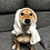 sho_sato