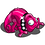 variedchameleon